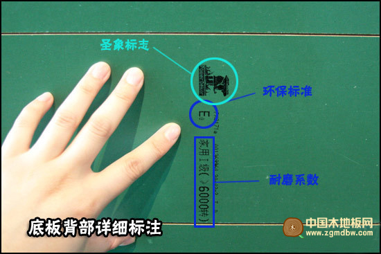 圣象科隆橡木強化地板